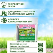 Травосмесь Евро-Лень 250гр - фото 73056