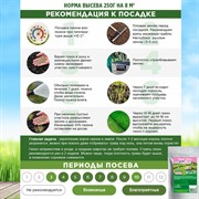 Травосмесь Евро-Лень 250гр - фото 73057