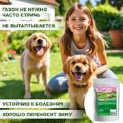 Травосмесь Евро-Лень 250гр - фото 73058