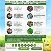 Травосмесь Универсал Эконом 10кг - фото 73069