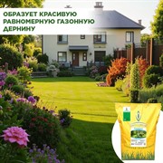 Травосмесь Универсал Эконом 10кг - фото 73070