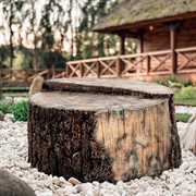 Крышка декоративная для люка Пень высокий диаметр 80см U08317 - фото 73131