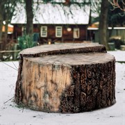 Крышка декоративная для люка Пень высокий диаметр 80см U08317 - фото 73133