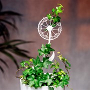 Опора для комнатных цветов и растений Одуванчик высота 40см 202-074 - фото 73135