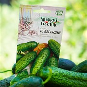 Огурец Берендей F1 10шт Гавриш - фото 73202 Огурец Берендей F1 10шт Гавриш - фото 73202