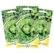 Салат мини Гном 0,5г - фото 73233