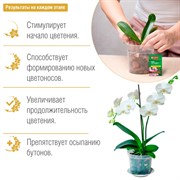 Удобрение БОНА ФОРТЕ для орхидей 10мл здоровье - фото 73305