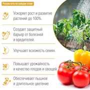 БОНА ФОРТЕ Био-стимулятор роста 100мл - фото 73310