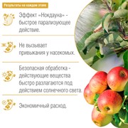 БОНА ФОРТЕ Биоинсектицид Пиретрум от насекомых 100мл - фото 73318