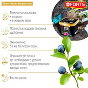 Удобрение БОНА ФОРТЕ для голубики и рододендронов 1л ведро - фото 73326