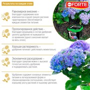 Удобрение БОНА ФОРТЕ для гортензий 1л ведро - фото 73331