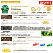 Удобрение БОНА ФОРТЕ для гортензий 1л ведро - фото 73333