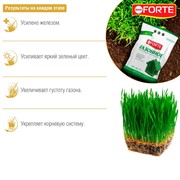 Удобрение БОНА ФОРТЕ для Газонов 4.5кг весна - фото 73342