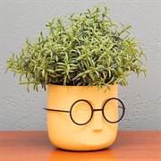 Кашпо Стив 0,65л банан - фото 73357