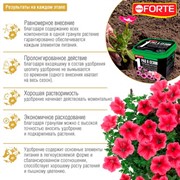 Удобрение БОНА ФОРТЕ для петуний и бегоний 1л ведро - фото 73403
