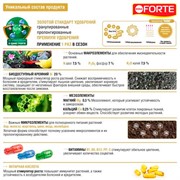 Удобрение БОНА ФОРТЕ для петуний и бегоний 1л ведро - фото 73405