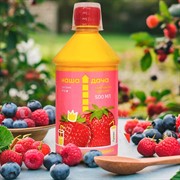 Удобрение Наша Дача для клубники и земляники 0,5л - фото 73658