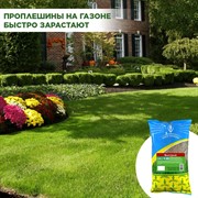 Травосмесь Быстрый газон 1кг - фото 73663