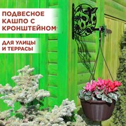 Кашпо для цветов подвесное уличное 2,75л с металлическим кронштейном 201-011 - фото 73709