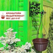 Кашпо для цветов подвесное уличное 2,75л с металлическим кронштейном 201-011 - фото 73710