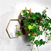 Подставка настенная на 1 цветок Соты металл золото 15-125G - фото 73766