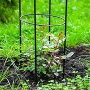 Шпалера для вьющихся растений с фонарём высота 148см 57-103 - фото 73998