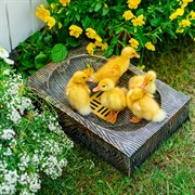 Поддон для умывальника садовый U09078-Palis - фото 74022