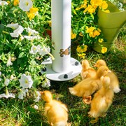 Умывальник садовый с краном белый металл высота 92см 55-117W - фото 74029