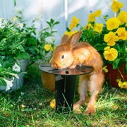 Крепление для садовой колонки в землю свая забивная 55-201 - фото 74031