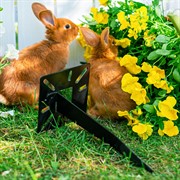 Крепление для садовой колонки в землю 55-200B - фото 74034