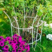 Комплект полукруглых опор для садовых растений 2шт металл белый Корона 58-921W-2 - фото 74035