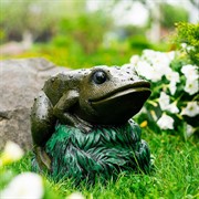 Крышка декоративная для маскировки садовых коммуникаций Лягушка на камне U09182 - фото 74041