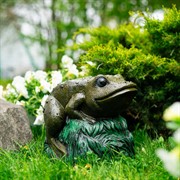Крышка декоративная для маскировки садовых коммуникаций Лягушка на камне U09182 - фото 74042