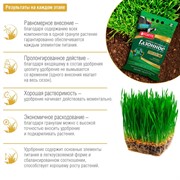 Удобрение БОНА ФОРТЕ для Газонов 5кг - фото 74494