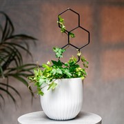 Опора для комнатных растений металлическая 43см 57-936B - фото 74509