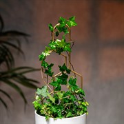 Опора для комнатных растений металлическая золото 45см 57-938G - фото 74521