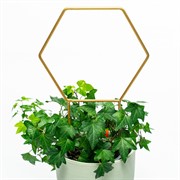 Опора для комнатных растений металл золото 35см 57-933G - фото 74538