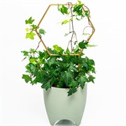 Опора для комнатных растений металл золото 35см 57-933G - фото 74539