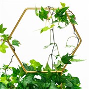 Опора для комнатных растений металл золото 35см 57-933G - фото 74540