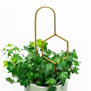 Опора для комнатных растений металлическая золото 35см 57-937G - фото 74542