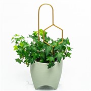 Опора для комнатных растений металлическая золото 35см 57-937G - фото 74543