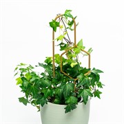 Опора для комнатных растений металлическая золото 35см 57-937G - фото 74544