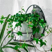 Подставка настенная на 1 цветок чёрная металл 15-117B - фото 74628