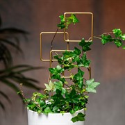 Опора для комнатных растений 32см золотая металл 57-935G - фото 74674