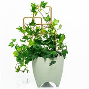 Опора для комнатных растений 32см золотая металл 57-935G - фото 74677