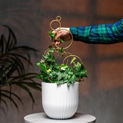 Опора для комнатных цветов 43см золотая металл 57-962G - фото 74686