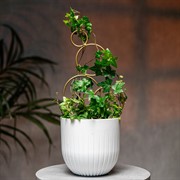 Опора для комнатных цветов 43см золотая металл 57-962G - фото 74687