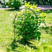 Опора для садовых растений металлическая черная Купол 58-908B - фото 74698