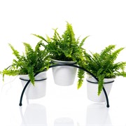 Подставка для цветов на подоконник на 3 кашпо чёрная 41-944B - фото 74757