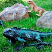 Фигура садовая Игуана большая длина 50см F01275 - фото 74778